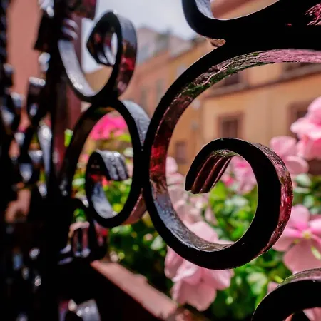 بيت ضيافة Sa Domu Cheta