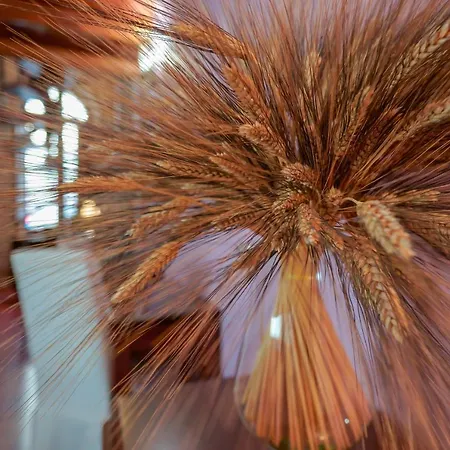 Sa Domu Cheta 4* كالياري