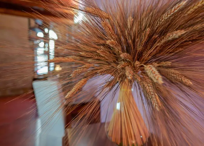 Sa Domu Cheta 4* Cagliari